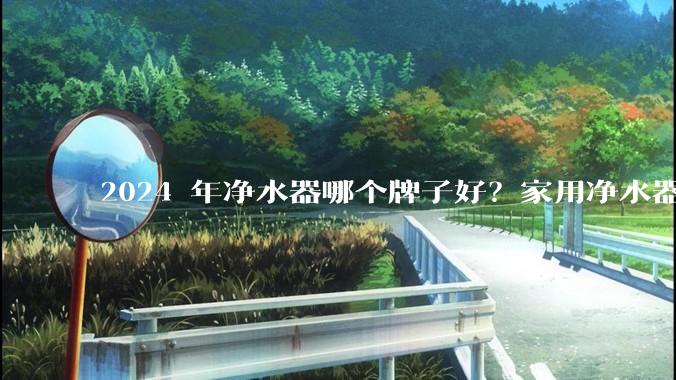 2024 年净水器哪个牌子好？家用净水器的选购攻略是什么？